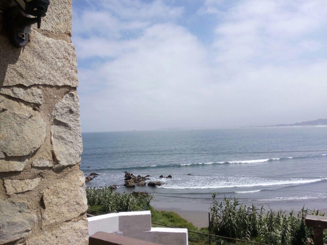 Pinguino En La Roca - Lodge Vina del Mar Esterno foto
